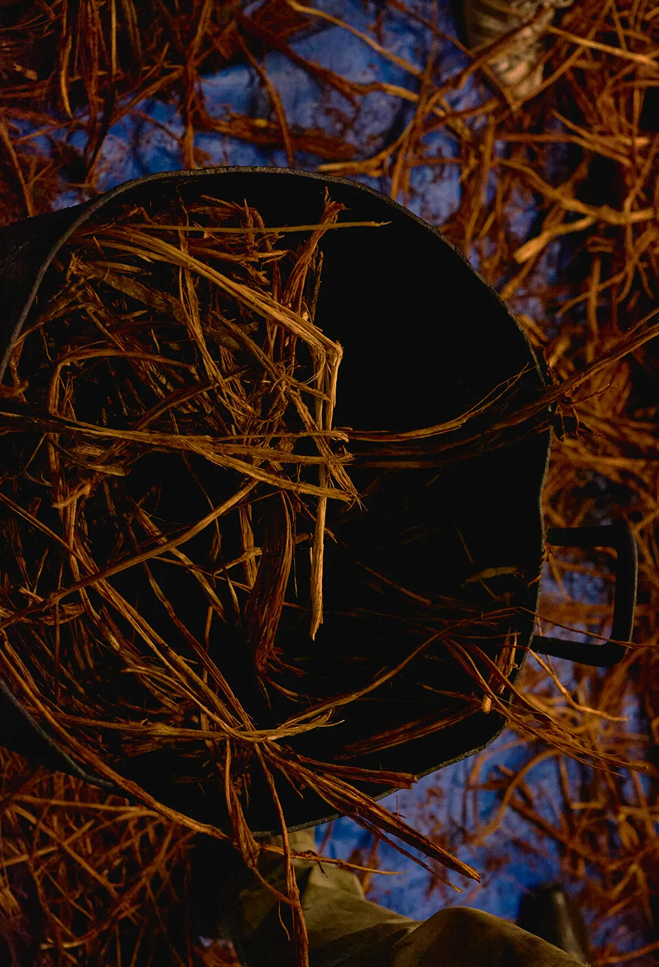 Ayahuasca: Preparando o Tesouro da Amazônia